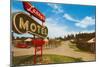 Larry's Vintage Motel-null-Mounted Art Print