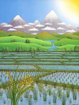 Japan Rice Paddy Field, 1997