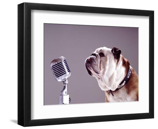 Premium Photographic Print, , large