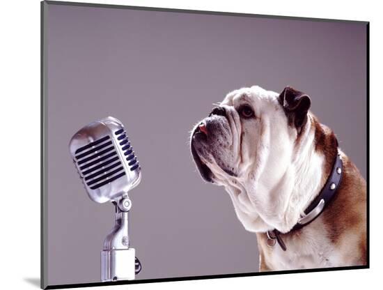 Photographic Print, , large
