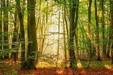 Basking In The Sun-Lars Van de Goor-Photographic Print