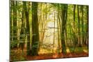 Wood Mount