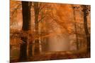 Wood Mount