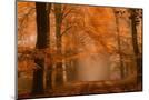 Wood Mount