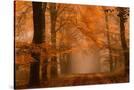 Stretched Canvas