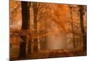 Wood Mount
