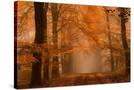 Stretched Canvas
