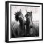 Black Frame