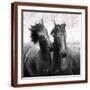 Brown Frame