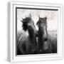 White Frame