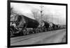 Larson Logging Co with 13 Truck Caravan - Bellingham, WA-Lantern Press-Framed Art Print