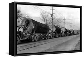 Larson Logging Co with 13 Truck Caravan - Bellingham, WA-Lantern Press-Framed Stretched Canvas