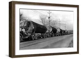 Larson Logging Co with 13 Truck Caravan - Bellingham, WA-Lantern Press-Framed Art Print