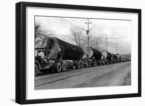 Larson Logging Co with 13 Truck Caravan - Bellingham, WA-Lantern Press-Framed Art Print