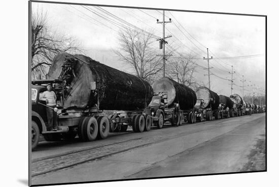 Larson Logging Co with 13 Truck Caravan - Bellingham, WA-Lantern Press-Mounted Art Print