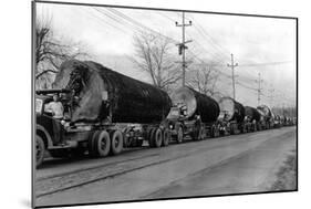 Larson Logging Co with 13 Truck Caravan - Bellingham, WA-Lantern Press-Mounted Art Print