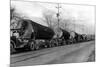 Larson Logging Co with 13 Truck Caravan - Bellingham, WA-Lantern Press-Mounted Art Print