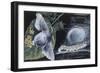 Larva and Caterpillar of Silkworm (Bombyx Mori)-null-Framed Giclee Print