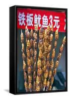 Larvae on Skewers for Sale at Dong Hua Men Night Market, Beijing, China, Asia-Gavin Hellier-Framed Stretched Canvas