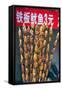 Larvae on Skewers for Sale at Dong Hua Men Night Market, Beijing, China, Asia-Gavin Hellier-Framed Stretched Canvas