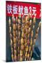 Larvae on Skewers for Sale at Dong Hua Men Night Market, Beijing, China, Asia-Gavin Hellier-Mounted Photographic Print