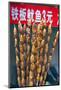 Larvae on Skewers for Sale at Dong Hua Men Night Market, Beijing, China, Asia-Gavin Hellier-Mounted Photographic Print