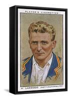 Larwood, Cricketer-null-Framed Stretched Canvas