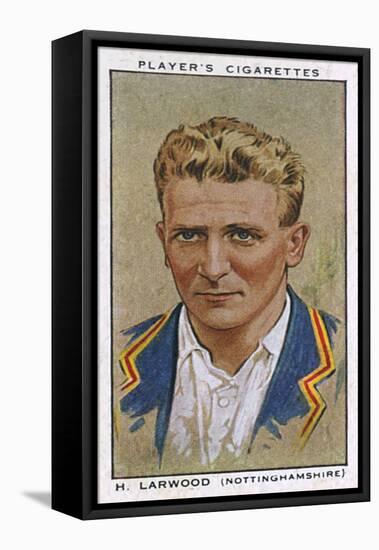 Larwood, Cricketer-null-Framed Stretched Canvas