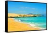 Las Alzadas Beach in Natural Park of Dunes of Corralejo in Fuerteventura, Canary Islands, Spain-nito-Framed Stretched Canvas