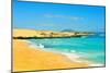 Las Alzadas Beach in Natural Park of Dunes of Corralejo in Fuerteventura, Canary Islands, Spain-nito-Mounted Photographic Print