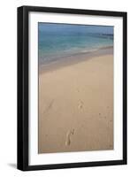 Las Bachas Beach, Santa Cruz Island, Galapagos Islands, Ecuador-Pete Oxford-Framed Photographic Print