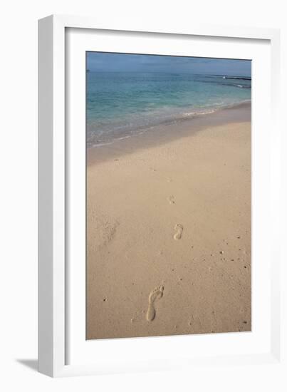 Las Bachas Beach, Santa Cruz Island, Galapagos Islands, Ecuador-Pete Oxford-Framed Photographic Print