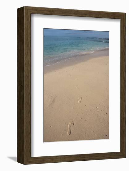 Las Bachas Beach, Santa Cruz Island, Galapagos Islands, Ecuador-Pete Oxford-Framed Photographic Print