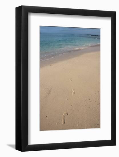 Las Bachas Beach, Santa Cruz Island, Galapagos Islands, Ecuador-Pete Oxford-Framed Photographic Print