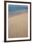 Las Bachas Beach, Santa Cruz Island, Galapagos Islands, Ecuador-Pete Oxford-Framed Photographic Print