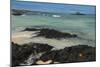 Las Bachas Beach, Santa Cruz Island, Galapagos Islands, Ecuador-Pete Oxford-Mounted Photographic Print