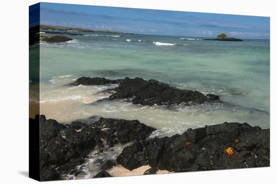 Las Bachas Beach, Santa Cruz Island, Galapagos Islands, Ecuador-Pete Oxford-Stretched Canvas