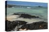 Las Bachas Beach, Santa Cruz Island, Galapagos Islands, Ecuador-Pete Oxford-Stretched Canvas