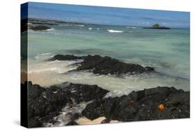 Las Bachas Beach, Santa Cruz Island, Galapagos Islands, Ecuador-Pete Oxford-Stretched Canvas