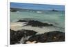 Las Bachas Beach, Santa Cruz Island, Galapagos Islands, Ecuador-Pete Oxford-Framed Photographic Print