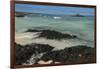 Las Bachas Beach, Santa Cruz Island, Galapagos Islands, Ecuador-Pete Oxford-Framed Photographic Print