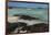 Las Bachas Beach, Santa Cruz Island, Galapagos Islands, Ecuador-Pete Oxford-Framed Photographic Print