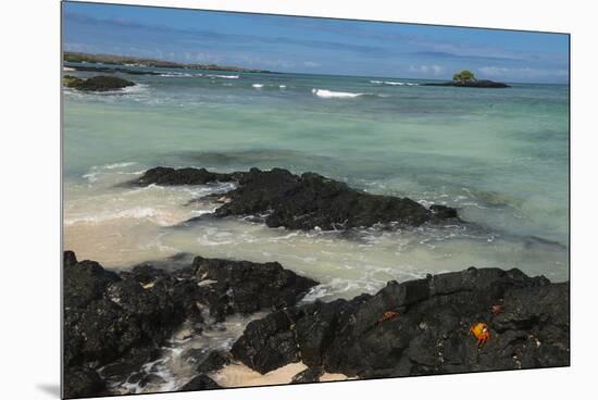 Las Bachas Beach, Santa Cruz Island, Galapagos Islands, Ecuador-Pete Oxford-Mounted Premium Photographic Print