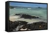 Las Bachas Beach, Santa Cruz Island, Galapagos Islands, Ecuador-Pete Oxford-Framed Stretched Canvas