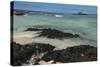 Las Bachas Beach, Santa Cruz Island, Galapagos Islands, Ecuador-Pete Oxford-Stretched Canvas