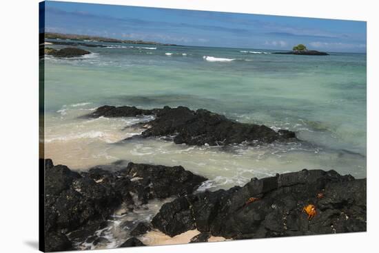 Las Bachas Beach, Santa Cruz Island, Galapagos Islands, Ecuador-Pete Oxford-Stretched Canvas