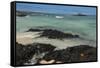 Las Bachas Beach, Santa Cruz Island, Galapagos Islands, Ecuador-Pete Oxford-Framed Stretched Canvas