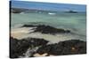 Las Bachas Beach, Santa Cruz Island, Galapagos Islands, Ecuador-Pete Oxford-Stretched Canvas