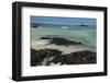 Las Bachas Beach, Santa Cruz Island, Galapagos Islands, Ecuador-Pete Oxford-Framed Photographic Print