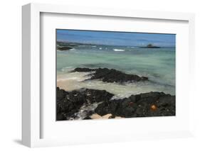 Las Bachas Beach, Santa Cruz Island, Galapagos Islands, Ecuador-Pete Oxford-Framed Photographic Print